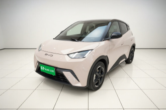 比亚迪 海鸥 2023款 飞翔版