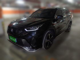 丰田 皇冠陆放 2023款 2.5L HEV四驱尊贵版