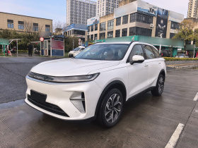 哈弗枭龙MAX 2025款 Hi4 110 Pro