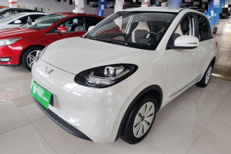 五菱汽车 五菱缤果 2023款 203km 轻享款