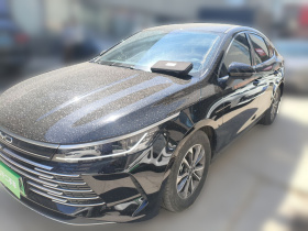 比亚迪 驱逐舰05 2024款 荣耀版 DM-i 55KM 豪华型