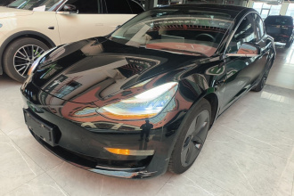 特斯拉 Model 3 2020款 标准续航后驱升级版