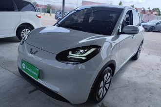 五菱汽车 五菱缤果 2024款 333km 悦享款