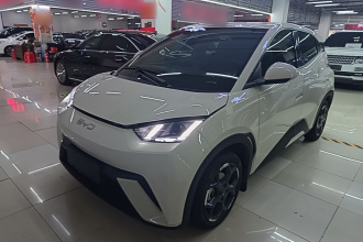 比亚迪 海鸥 2025款 305km 自由版