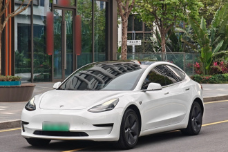 特斯拉 Model 3 2019款 标准续航后驱升级版