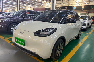五菱汽车 五菱缤果 2024款 333km 灵犀互联款