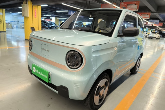 吉利银河 2023款 熊猫mini 200km 灵动熊