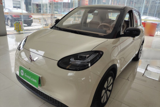 五菱汽车 五菱缤果 2025款 410km 灵犀尊享款