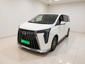 广汽传祺 传祺E9 2023款 E9 冠军版