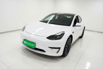 特斯拉 Model 3 2021款 标准续航后驱升级版 3D6