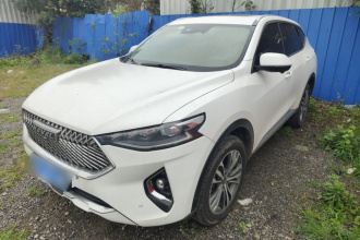 哈弗F7 2021款 2.0T 两驱i范
