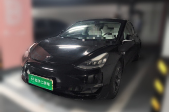 特斯拉 Model 3(进口) 2019款 长续航后驱版