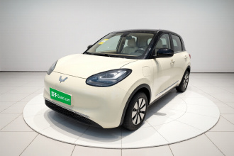 五菱汽车 五菱缤果 2025款 333km 悦享款