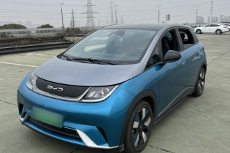 比亚迪 海豚 2021款 401km 骑士版