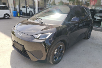 比亚迪 海鸥 2025款 智驾版 305km 自由版