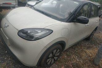 五菱汽车 五菱缤果 2025款 333km 悦享款