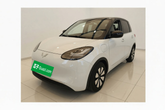 五菱汽车 五菱缤果 2023款 333km 悦享款