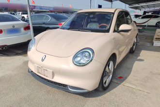 欧拉好猫 2021款 400km标准续航 雅典娜版 磷酸铁锂