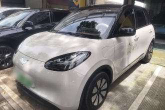 五菱汽车 五菱缤果 2024款 333km 悦享款