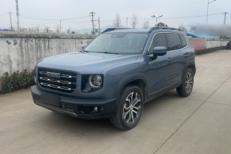 哈弗大狗 2021款 1.5T DCT两驱边牧版