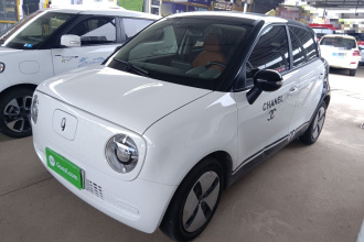 欧拉黑猫 2022款 301km 基础型 三元锂