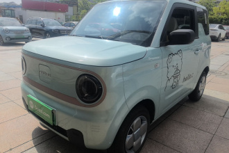 吉利银河 2023款 熊猫mini 200km 耐力熊