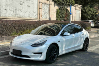 特斯拉 Model 3(进口) 2019款 标准续航后驱升级版(52度)