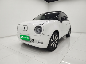 欧拉黑猫 2019款 351km 女神版