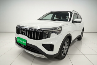 起亚 智跑 2021款 Ace 2.0L 精彩版