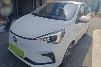 长安 奔奔E-Star 2020款 心悦版 三元锂