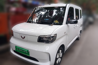 五菱汽车 五菱之光新能源 2025款 201km 标准型