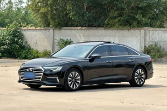 奥迪A6L 2019款 45 TFSI 臻选致雅型