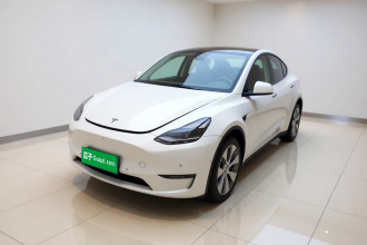 特斯拉 Model Y 2021款 长续航全轮驱动版