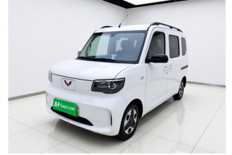 五菱汽车 五菱之光新能源 2025款 305km 进取型