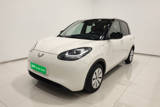 五菱汽车 五菱缤果 2023款 333km 快享款