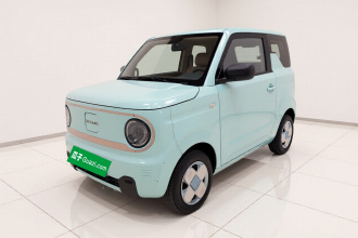 吉利银河 2023款 熊猫mini 200km 耐力熊