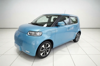 欧拉白猫 2020款 305km 豪华型
