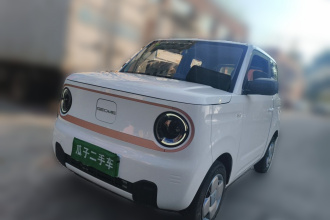 吉利银河 2024款 熊猫mini 200km 耐力熊