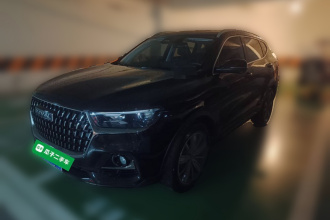 哈弗H6 2023款 国潮版 1.5T 自动冠军版