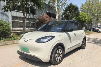 五菱汽车 五菱缤果 2024款 333km 悦享款