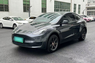 特斯拉 Model Y 2024款 后轮驱动版