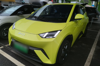比亚迪 海鸥 2024款 荣耀版 305km 自由版