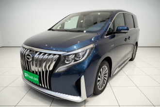 广汽传祺 传祺M8 2021款 大师系列 390T 至尊版