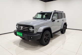 坦克300 2021款 城市版 2.0T 很有型