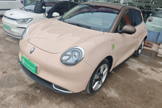 欧拉好猫 2021款 400km标准续航 雅典娜版 三元锂