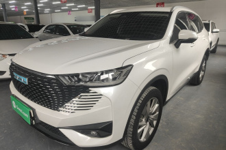 哈弗H6新能源 2023款 DHT-PHEV 110KM 悦行版