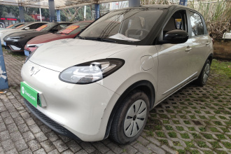 五菱汽车 五菱缤果 2024款 203km 轻享款