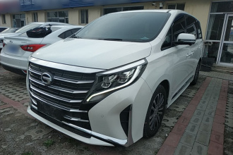 广汽传祺 传祺M8 2021款 领秀系列 390T 至尊版