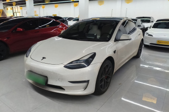特斯拉 Model 3 2022款 Performance高性能全轮驱动版