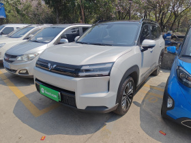 五菱汽车 星光560新能源 2026款 纯电 500km 豪华型